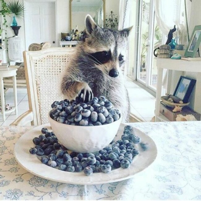 Новый товар Новый товар